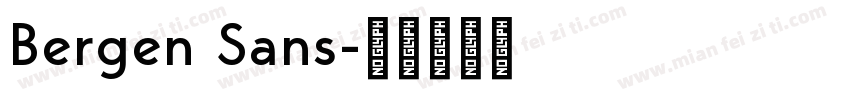 Bergen Sans字体转换